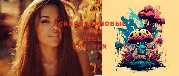 МДПВ Ладушкин