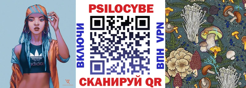 Псилоцибиновые грибы Psilocybine cubensis  что такое   Мезень 